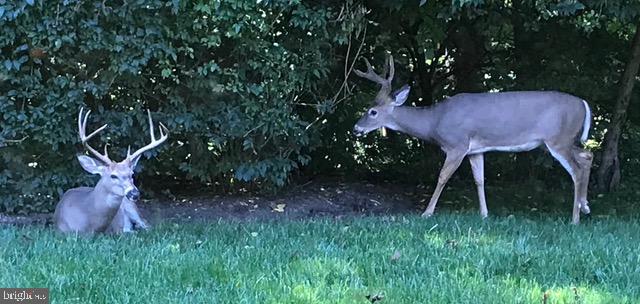 CARROLL KNOLLS - Residential