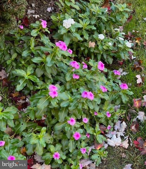 CARROLL KNOLLS - Residential