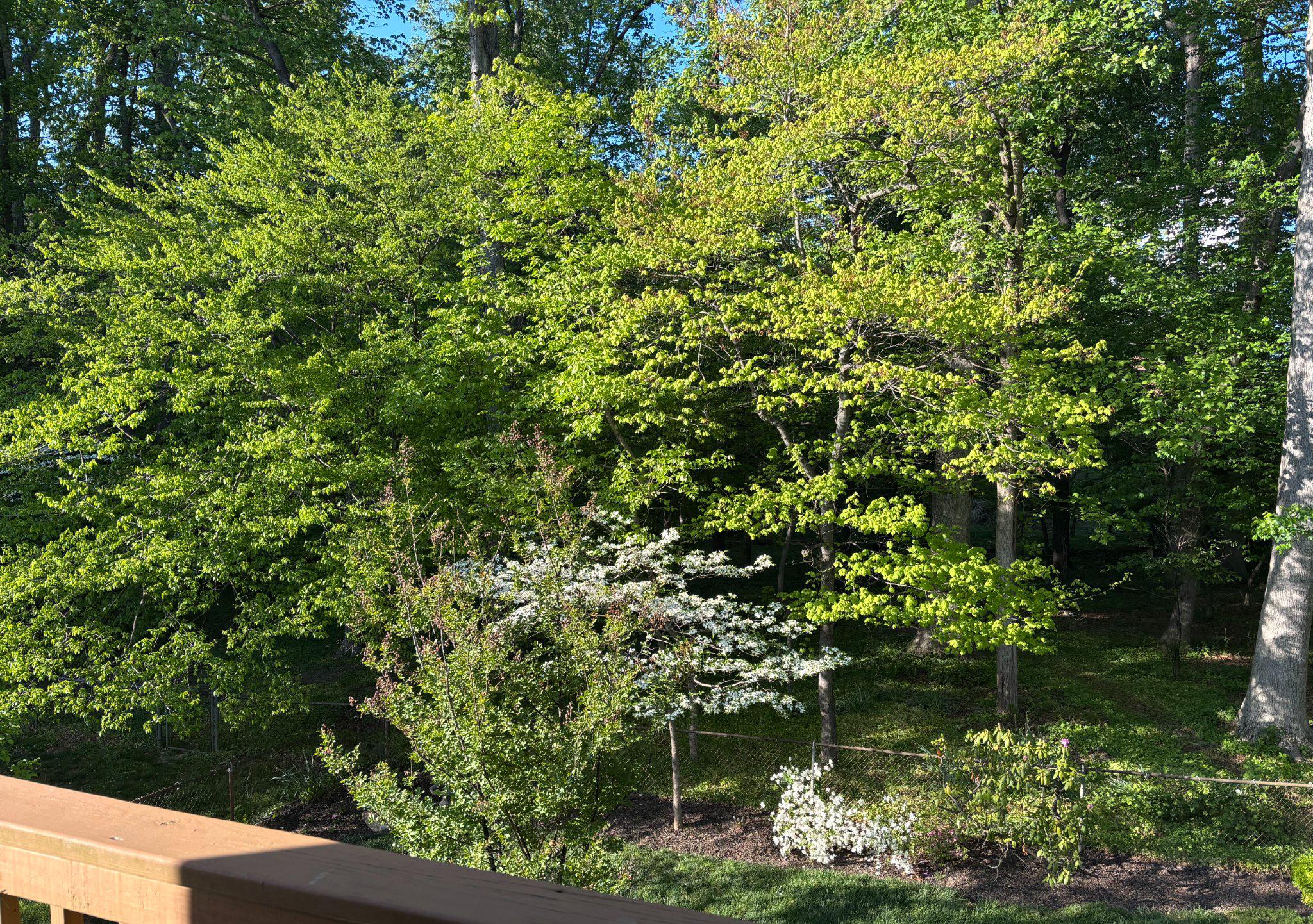 TYSONS GREEN - Residential