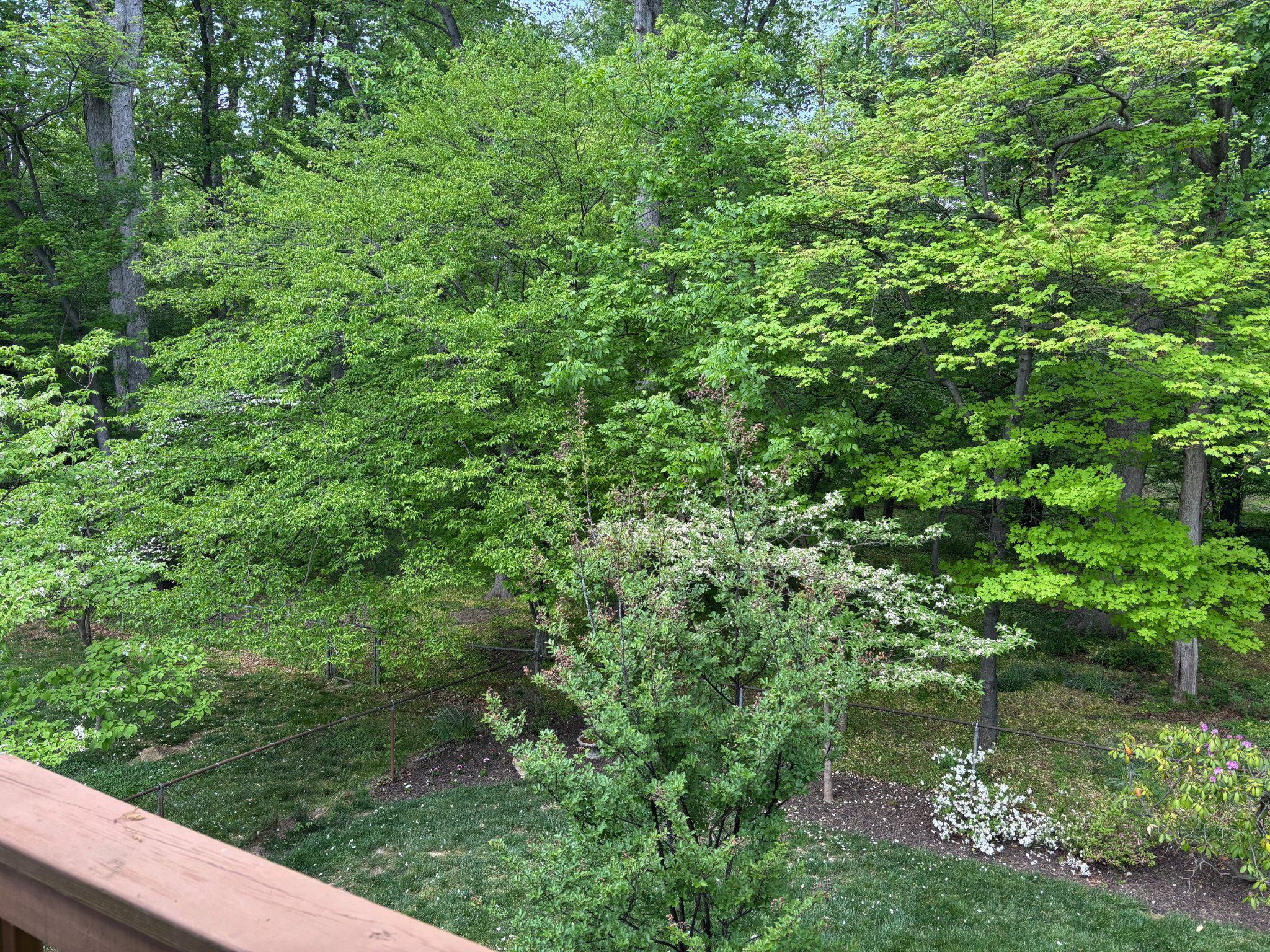 TYSONS GREEN - Residential