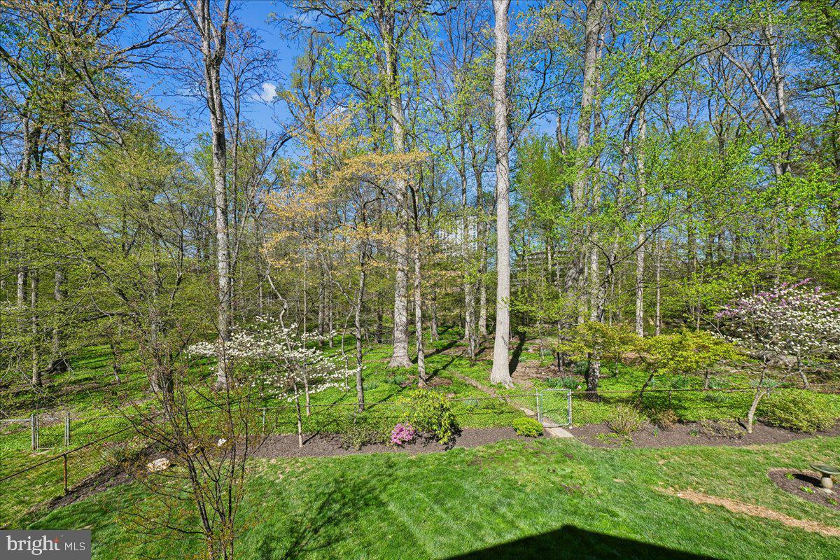 TYSONS GREEN - Residential