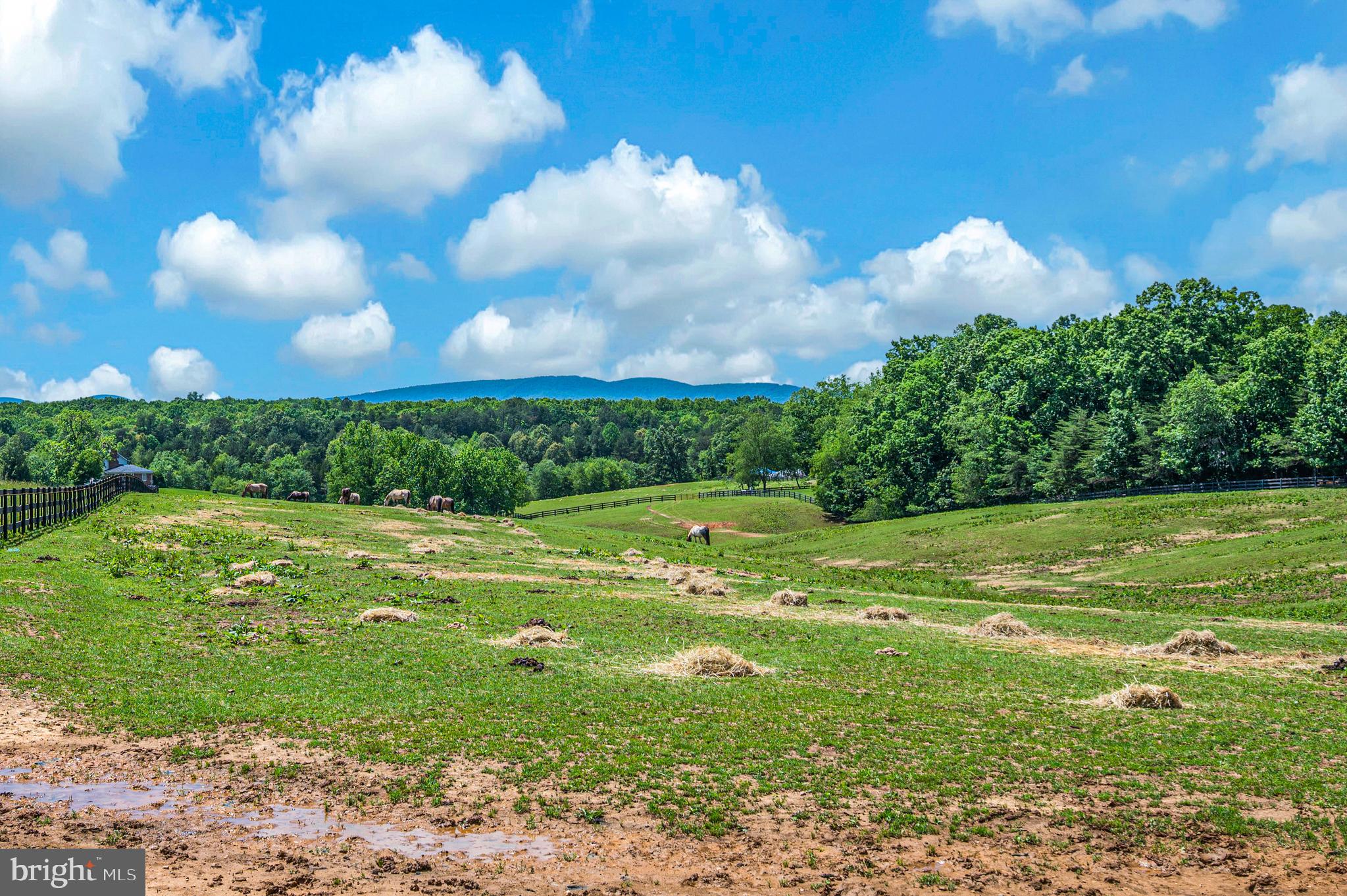 SHENANDOAH CROSSING COUNTRY CLUB - Residential