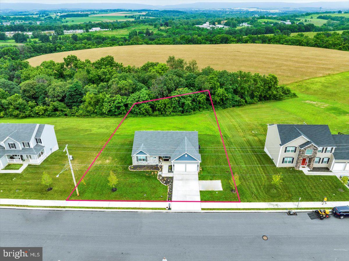 203 IDA RED DRIVE