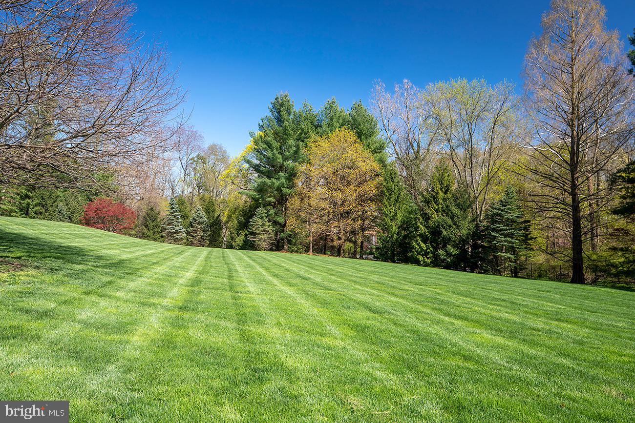 BRYN MAWR - Residential