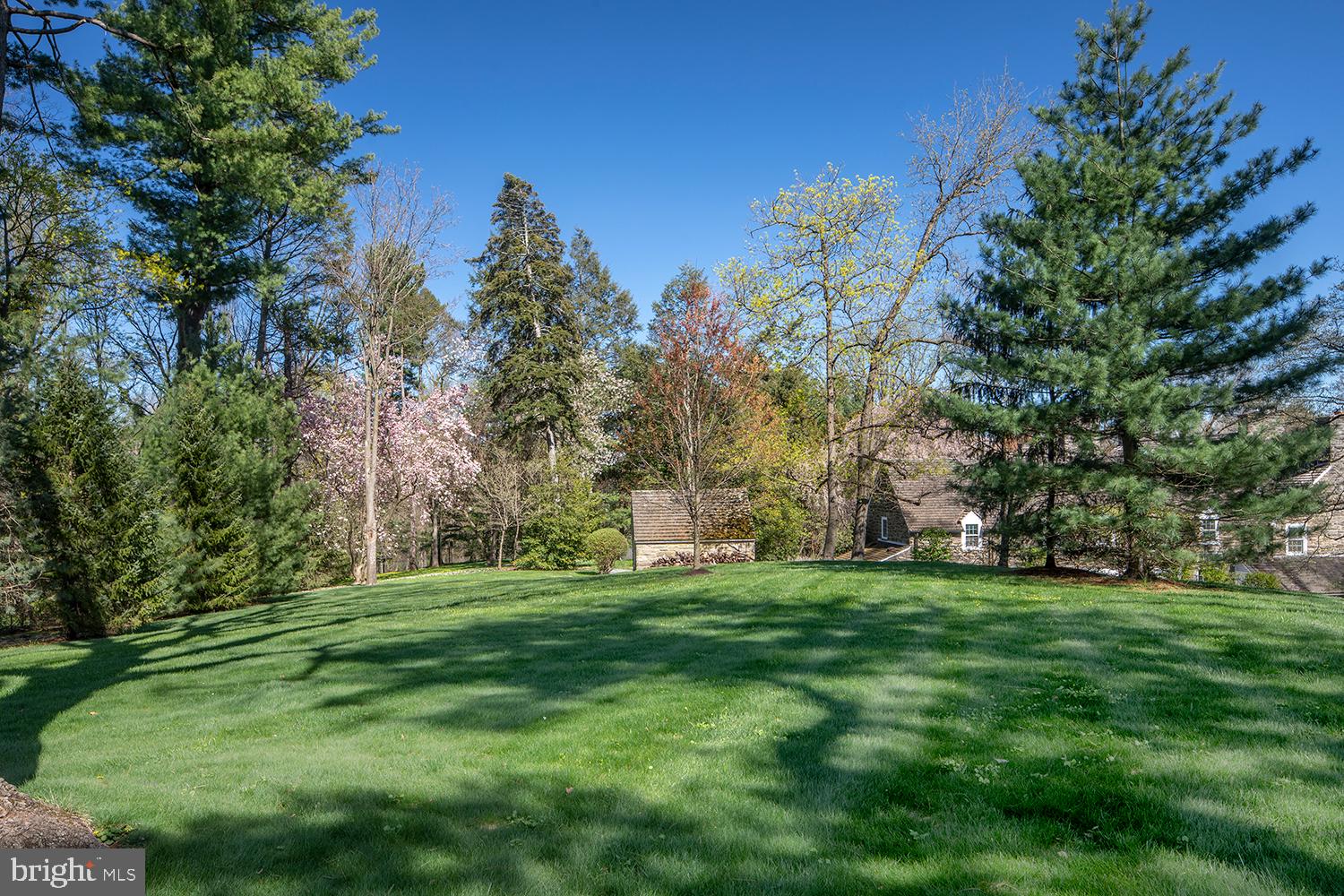 BRYN MAWR - Residential
