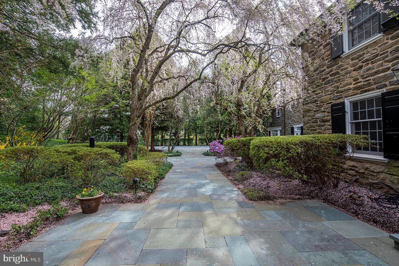 BRYN MAWR - Residential