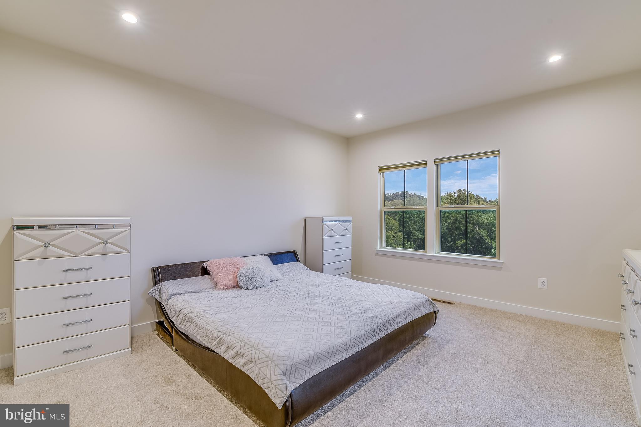 LAKE LINGANORE TOWN CENTER - Residential