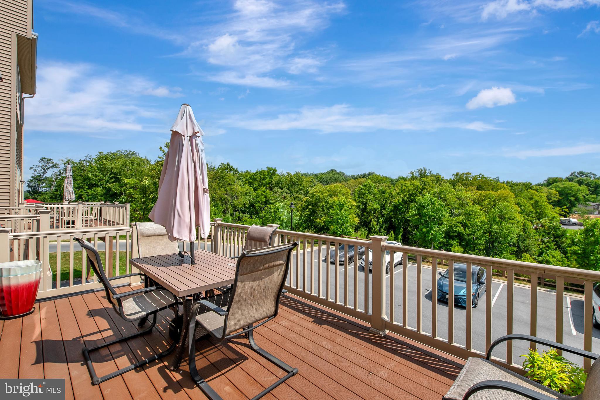 LAKE LINGANORE TOWN CENTER - Residential