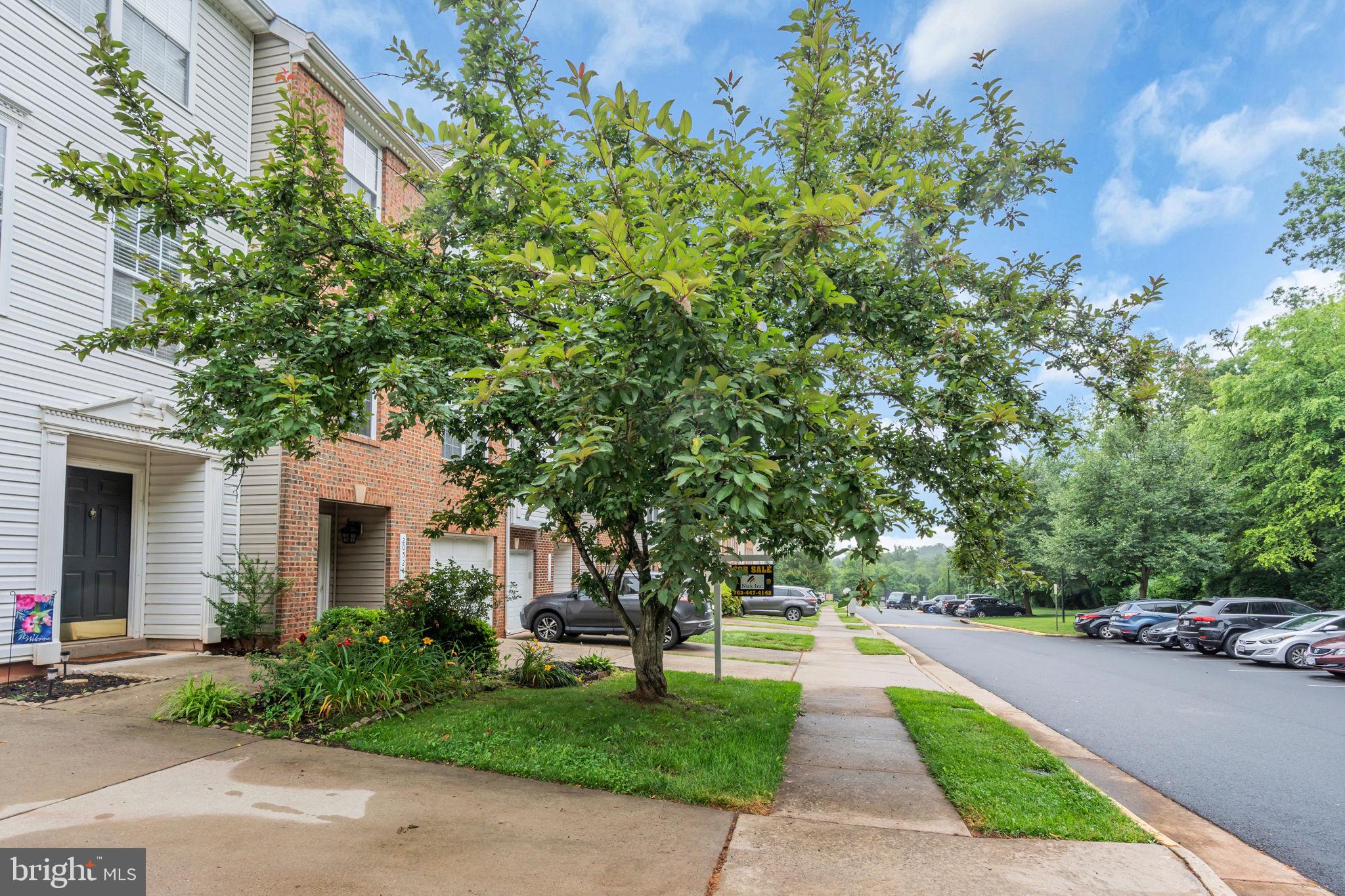 20524 BLUE HERON TERRACE