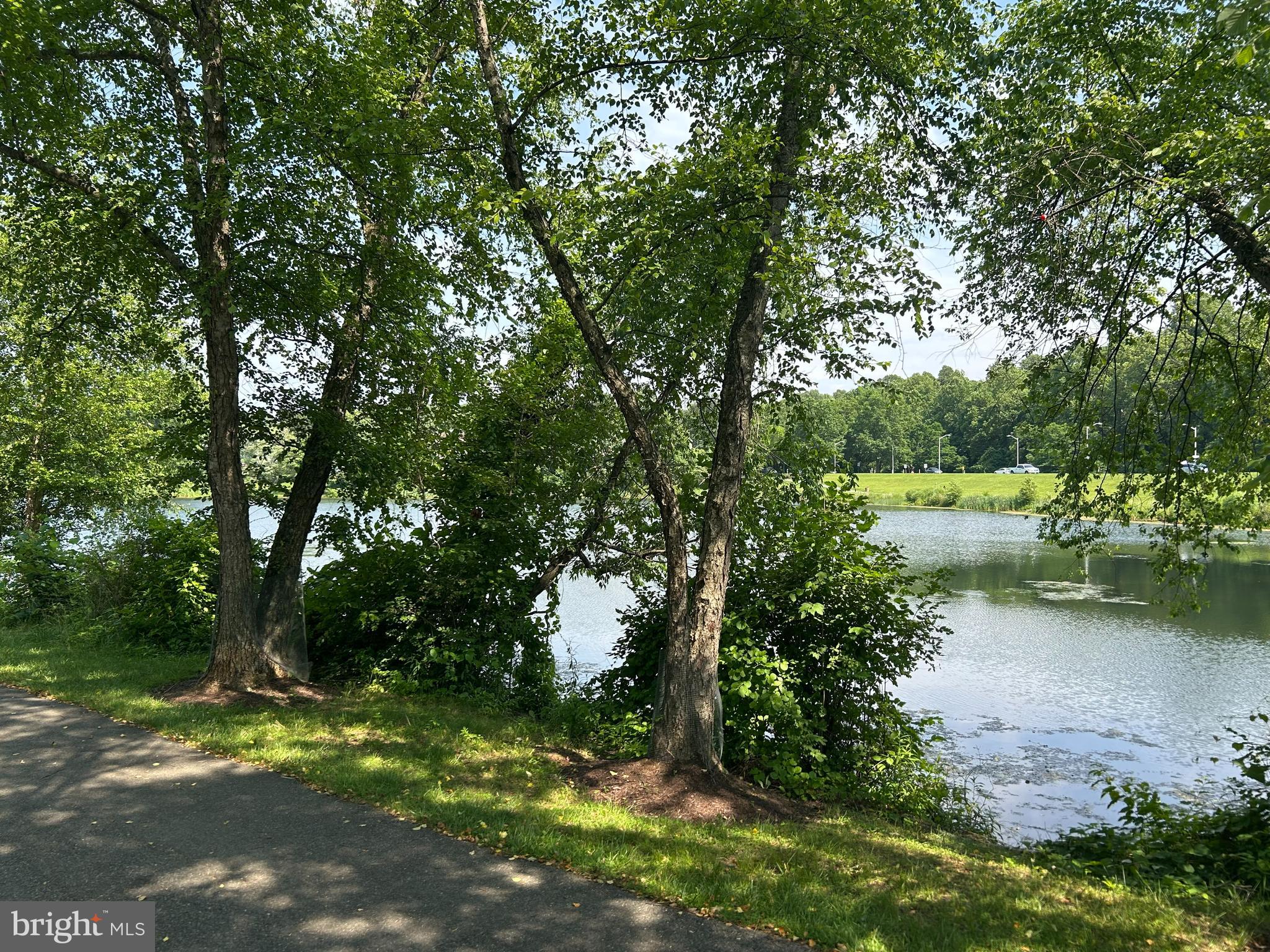GUNNERS LAKE VILLAGE - Residential