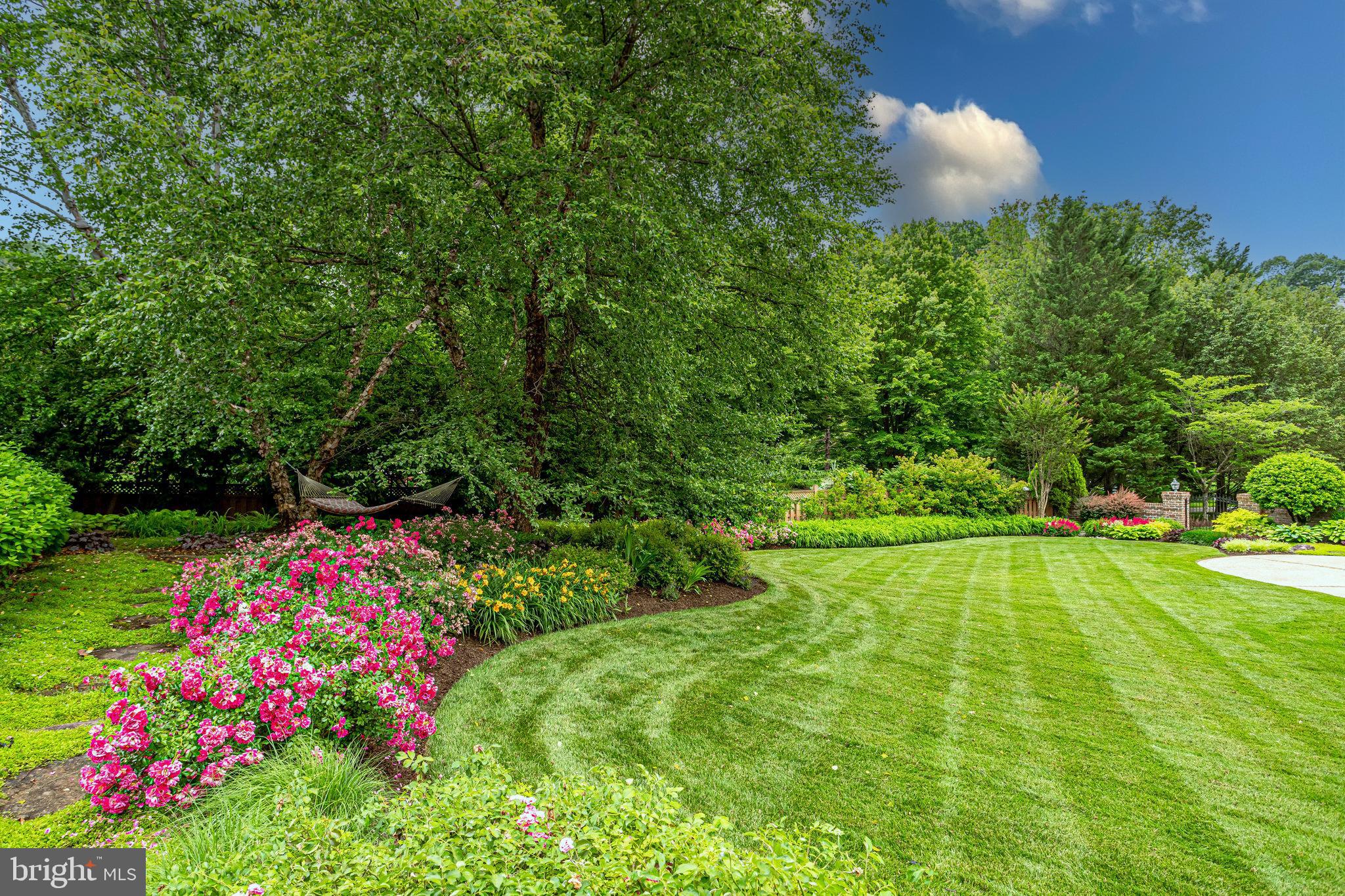 PATRICIAN WOODS - Residential