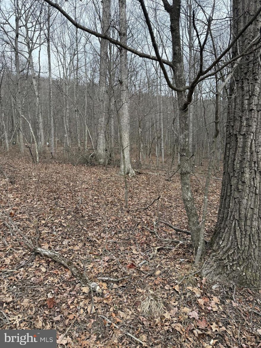 Wooded 3/4 acre lot at Mine Mountain located in Fort Valley, Virginia! Mine Mountain offers access to three fishing lakes with fish. The closest lake to this lot has a pavilion with picnic area. Across the road you will find the George Washington National Forest for hiking or hunting. This lot is near the entrance of Mine Mountain being just minutes from the Woodstock Tower that overlooks the Shenandoah Valley.