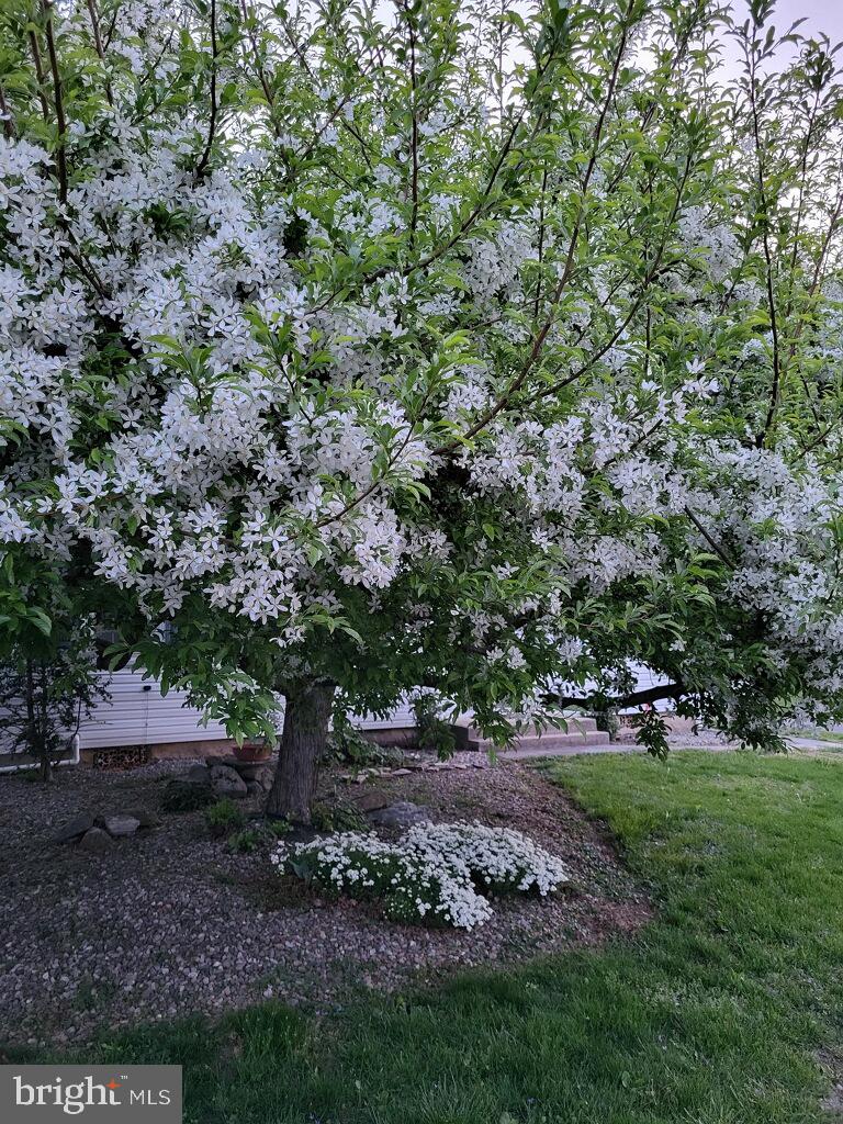 LANDISVILLE - Residential