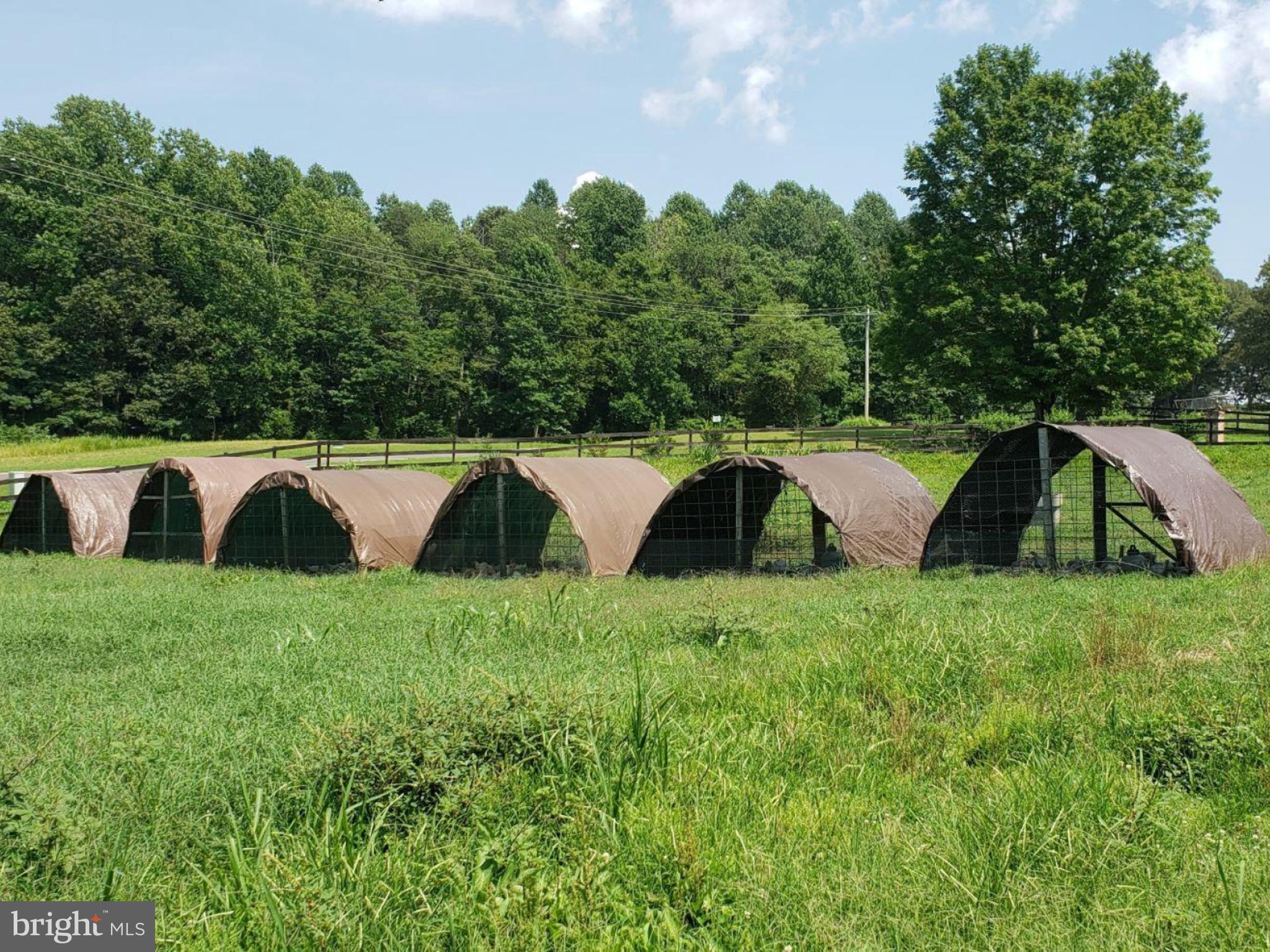 NONE AVAILABLE - Farm