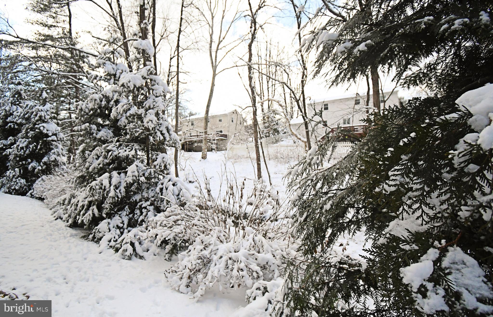 WYNDMOOR - Residential