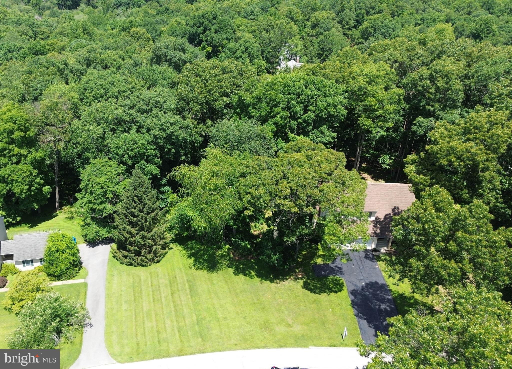 19018 HUNT PASS COURT