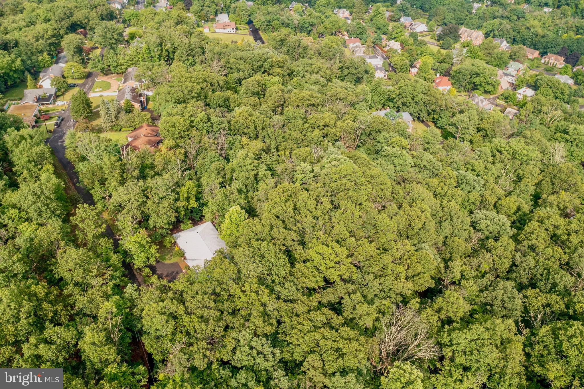 935 DINGLE PARK DRIVE