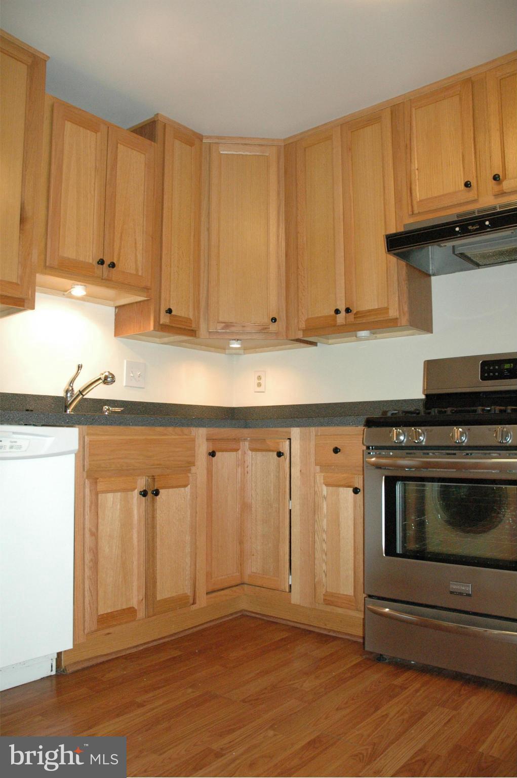 AMERICANA CENTRE - Residential