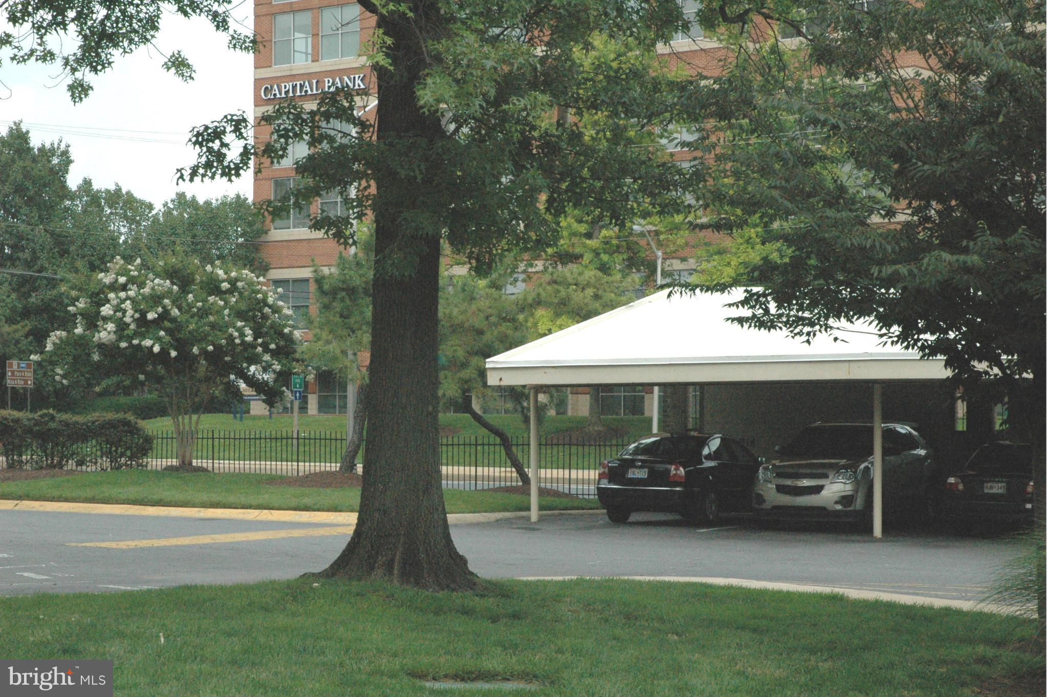 AMERICANA CENTRE - Residential