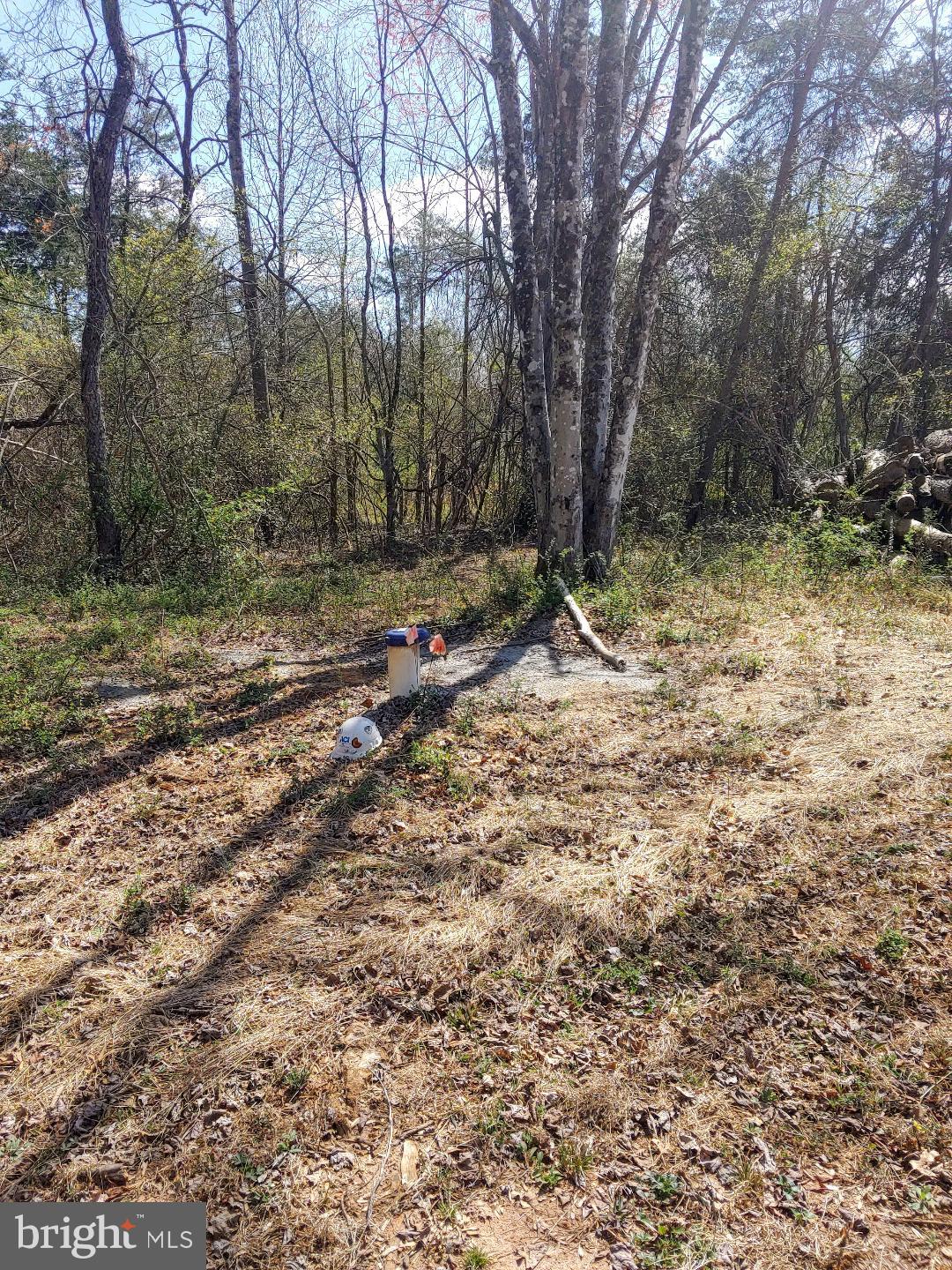 Lot 2 SHELBY RD