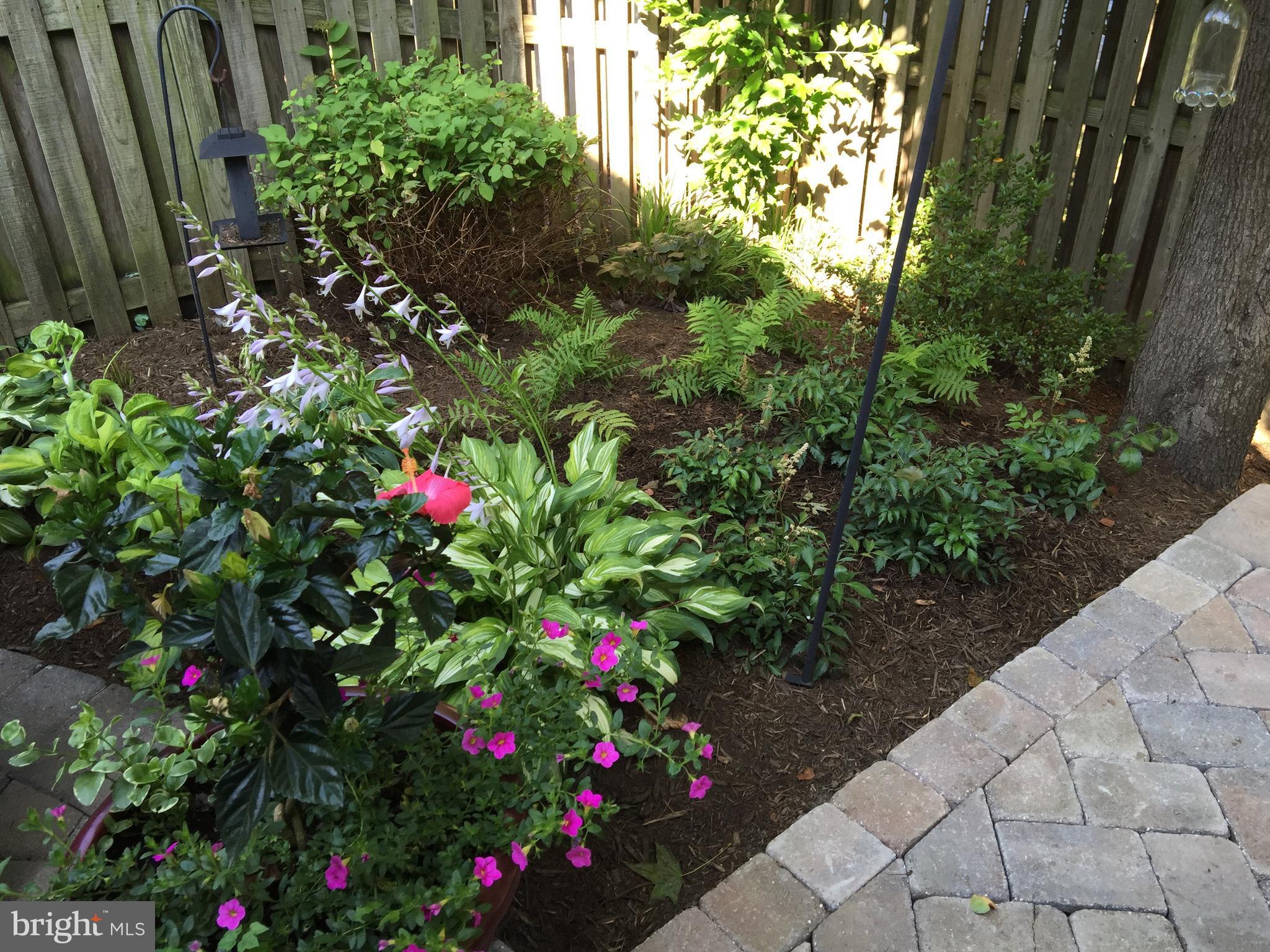 MARINERS LANDING - Residential