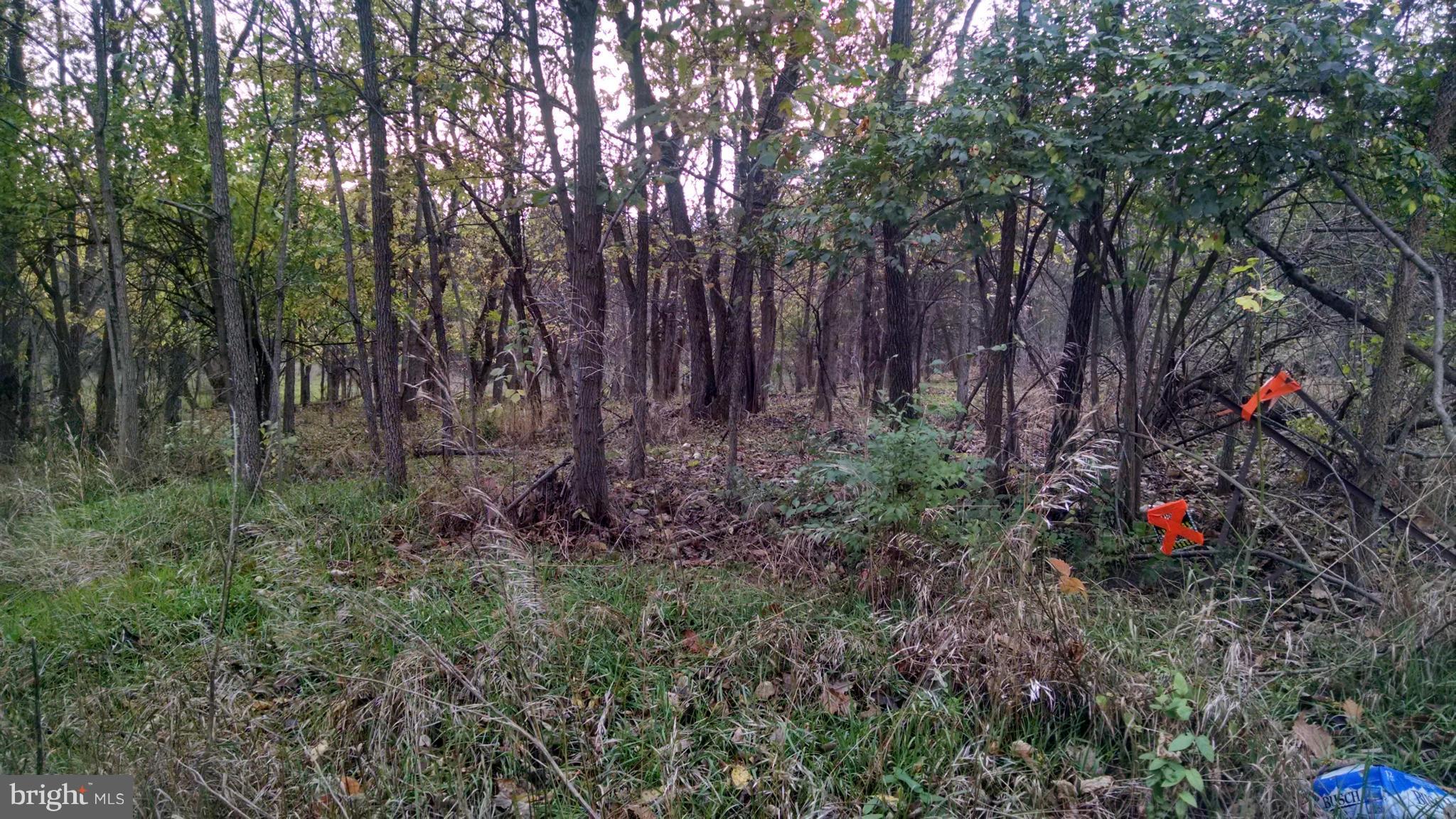 MILL CREEK SPRINGS - Land