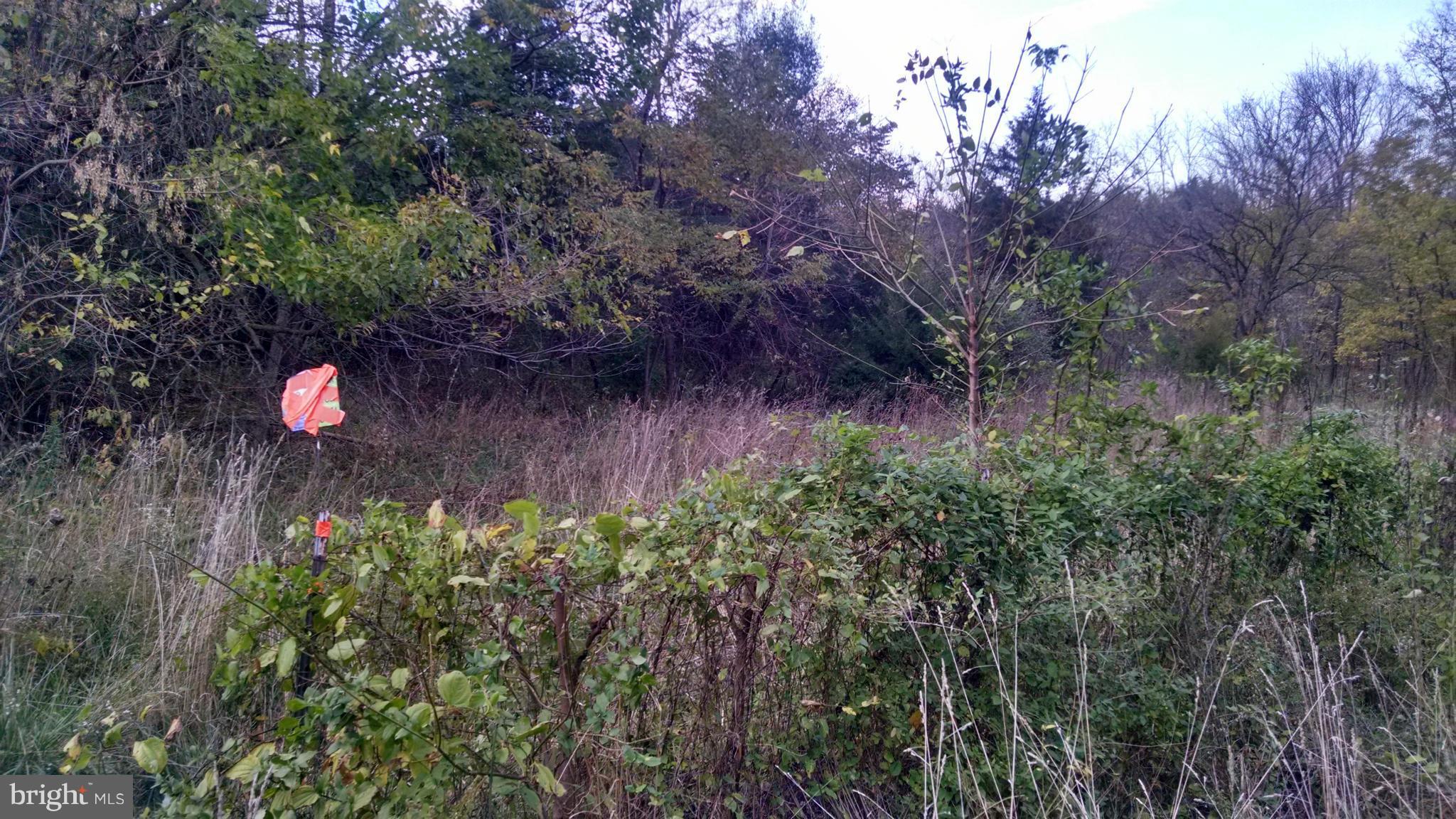 MILL CREEK SPRINGS - Land