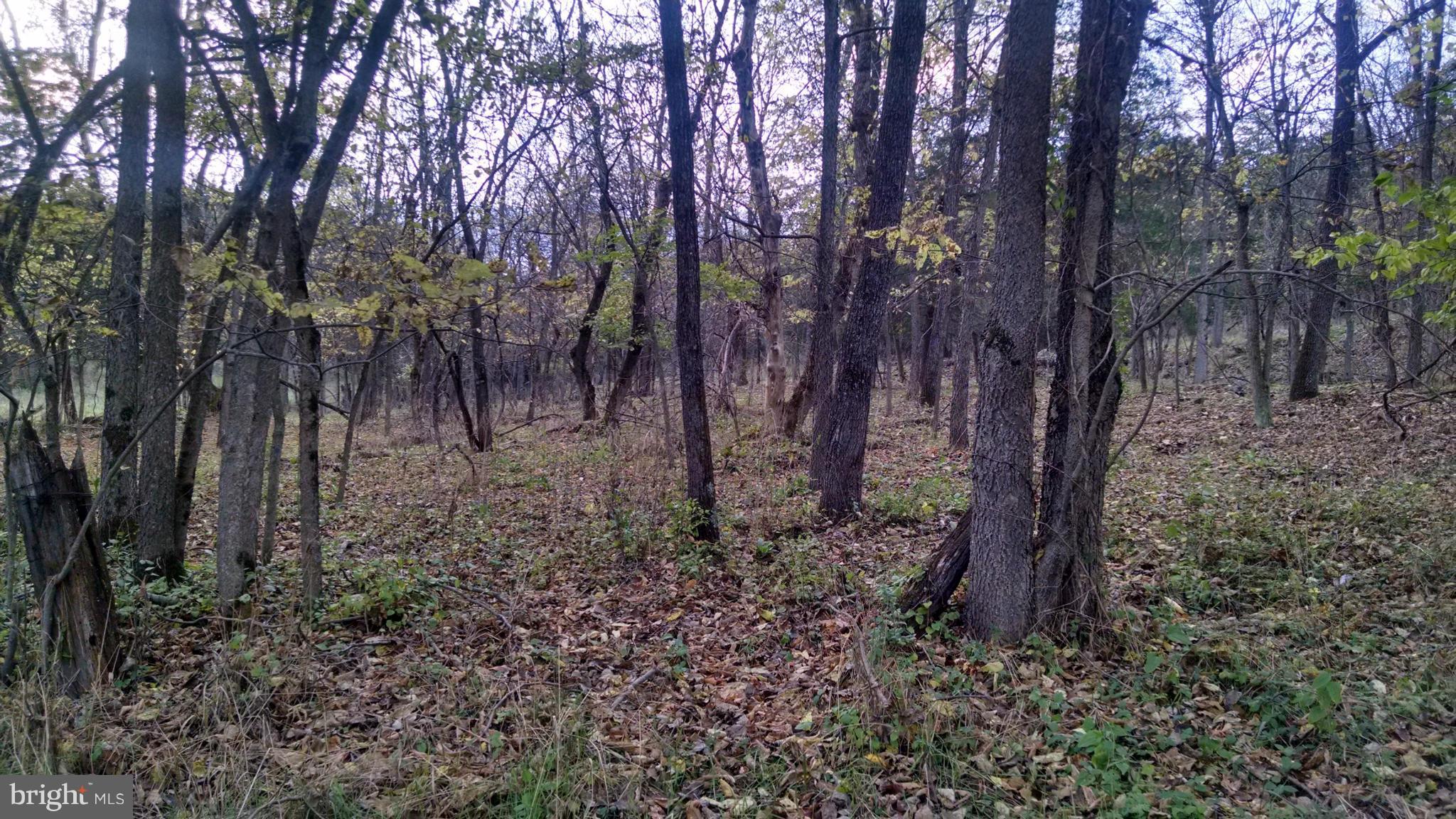 MILL CREEK SPRINGS - Land