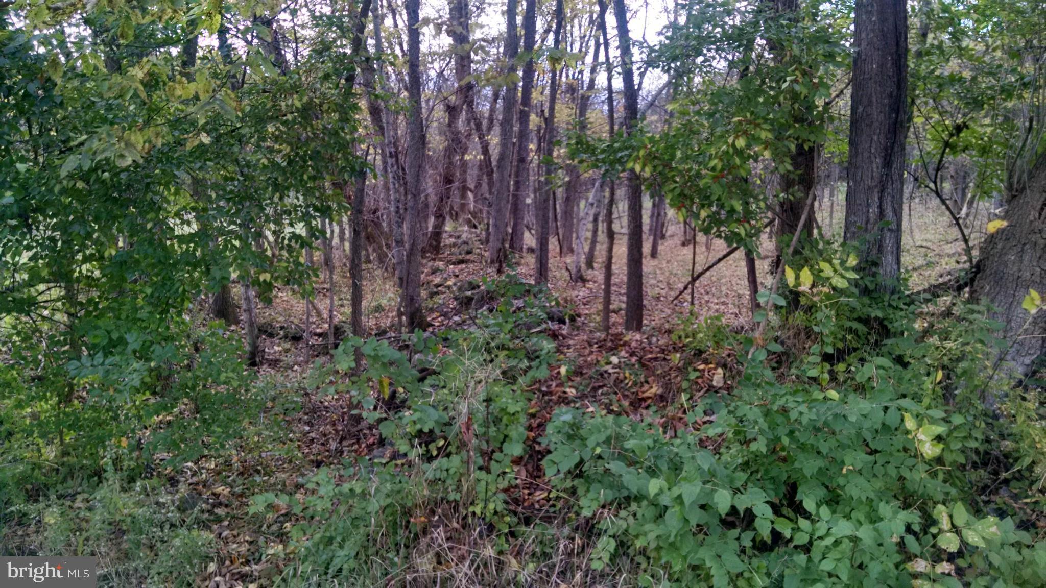 MILL CREEK SPRINGS - Land