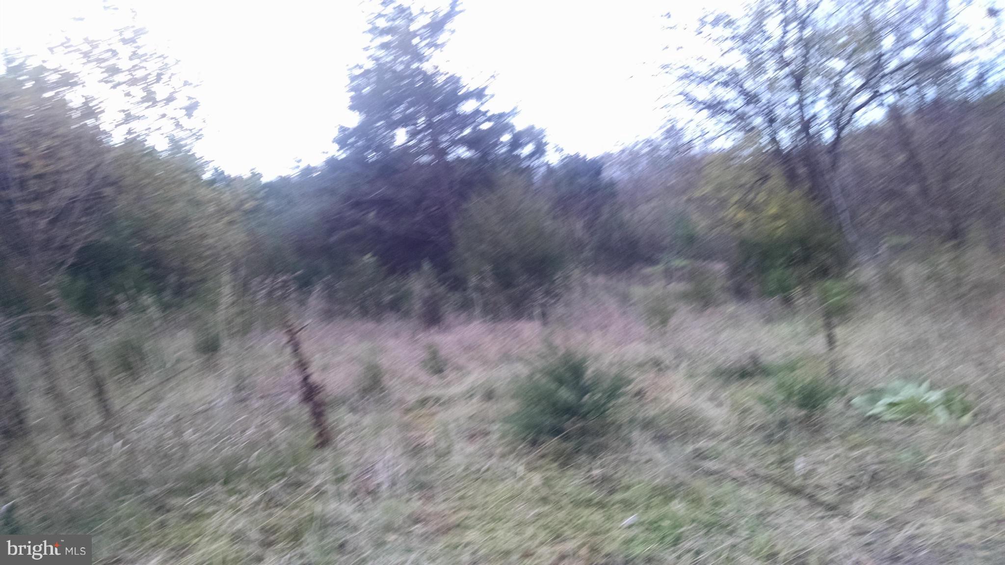 MILL CREEK SPRINGS - Land