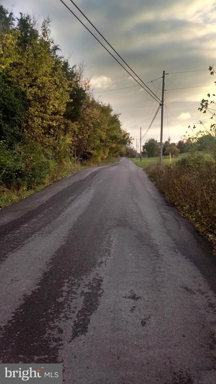 MILL CREEK SPRINGS - Land