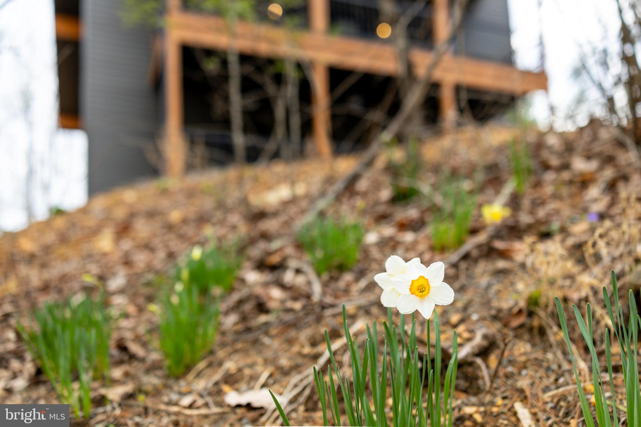 BRYCE  MOUNTAIN  RESORT - Residential