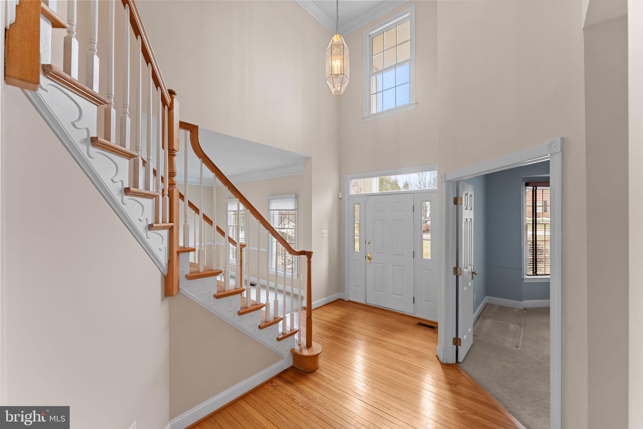 VALLEY FORGE WOODS - Residential