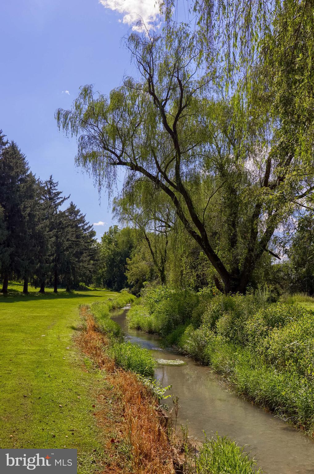 FARM ON QUARRY ROAD - Farm