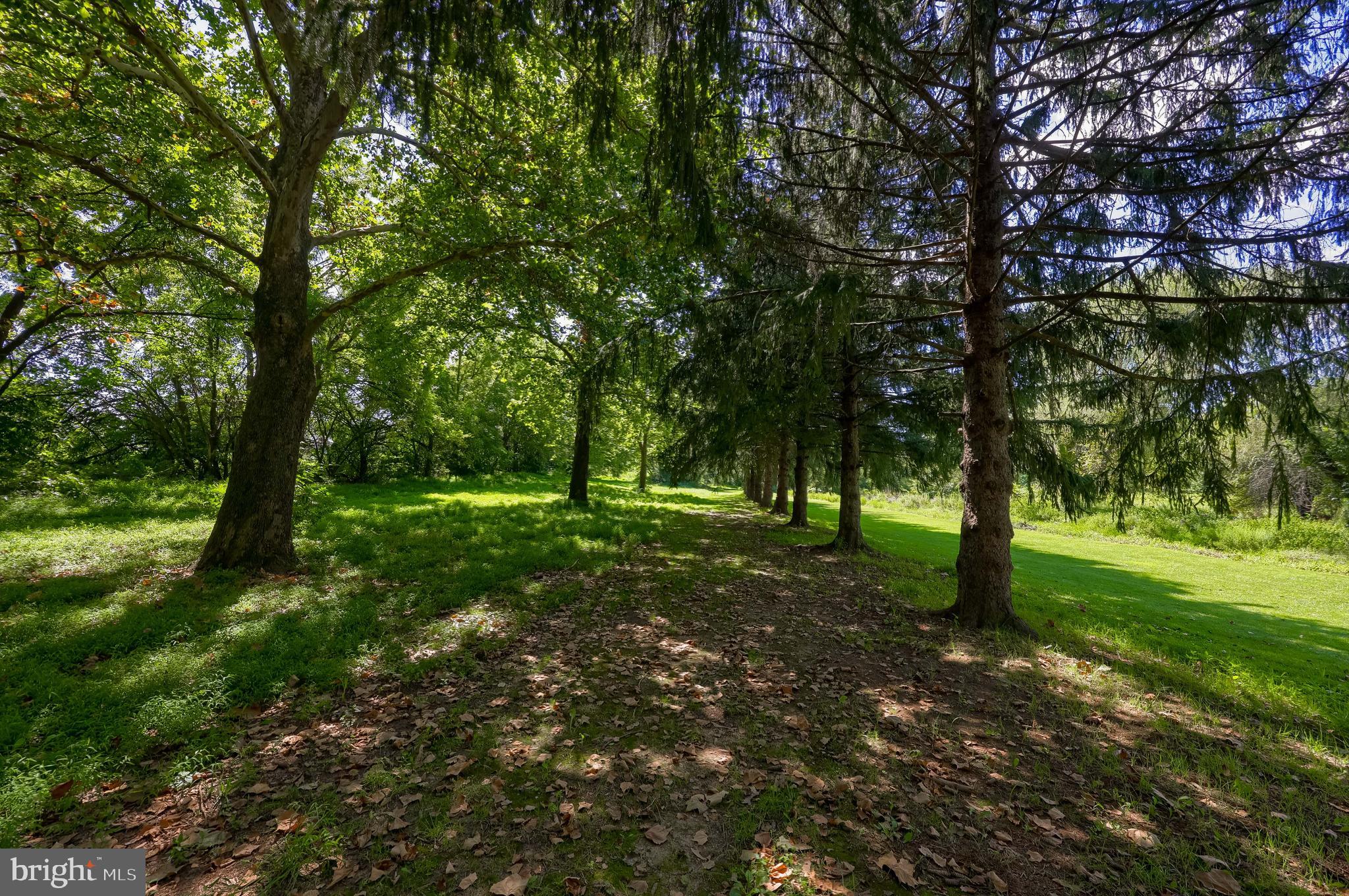FARM ON QUARRY ROAD - Farm
