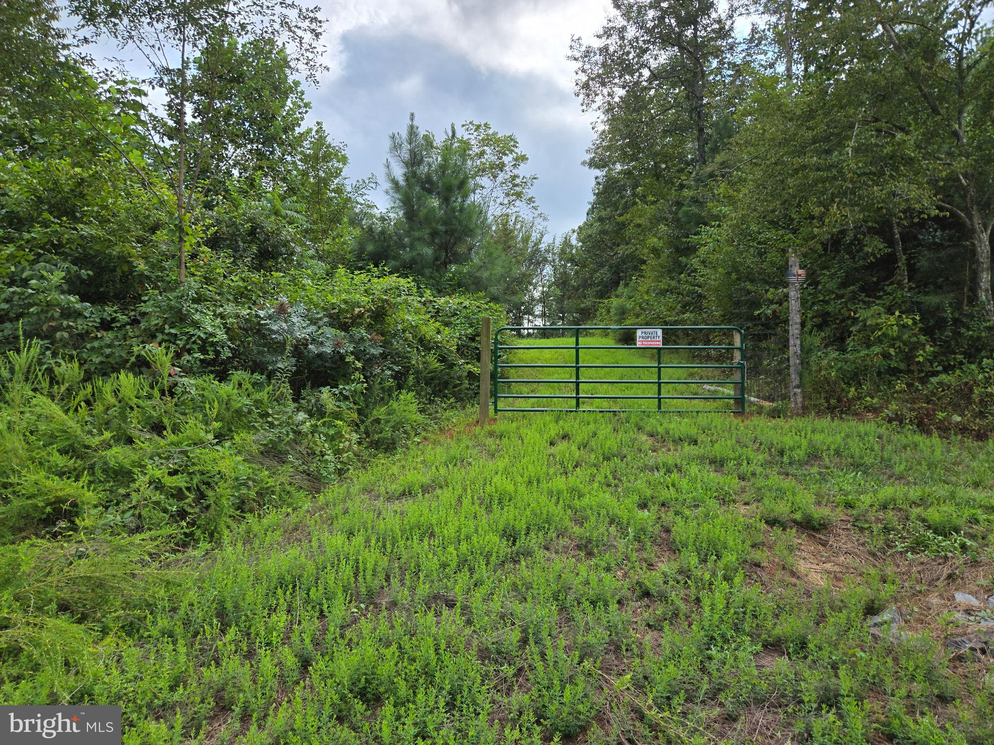 0 WEAVER HOLLOW ROAD
