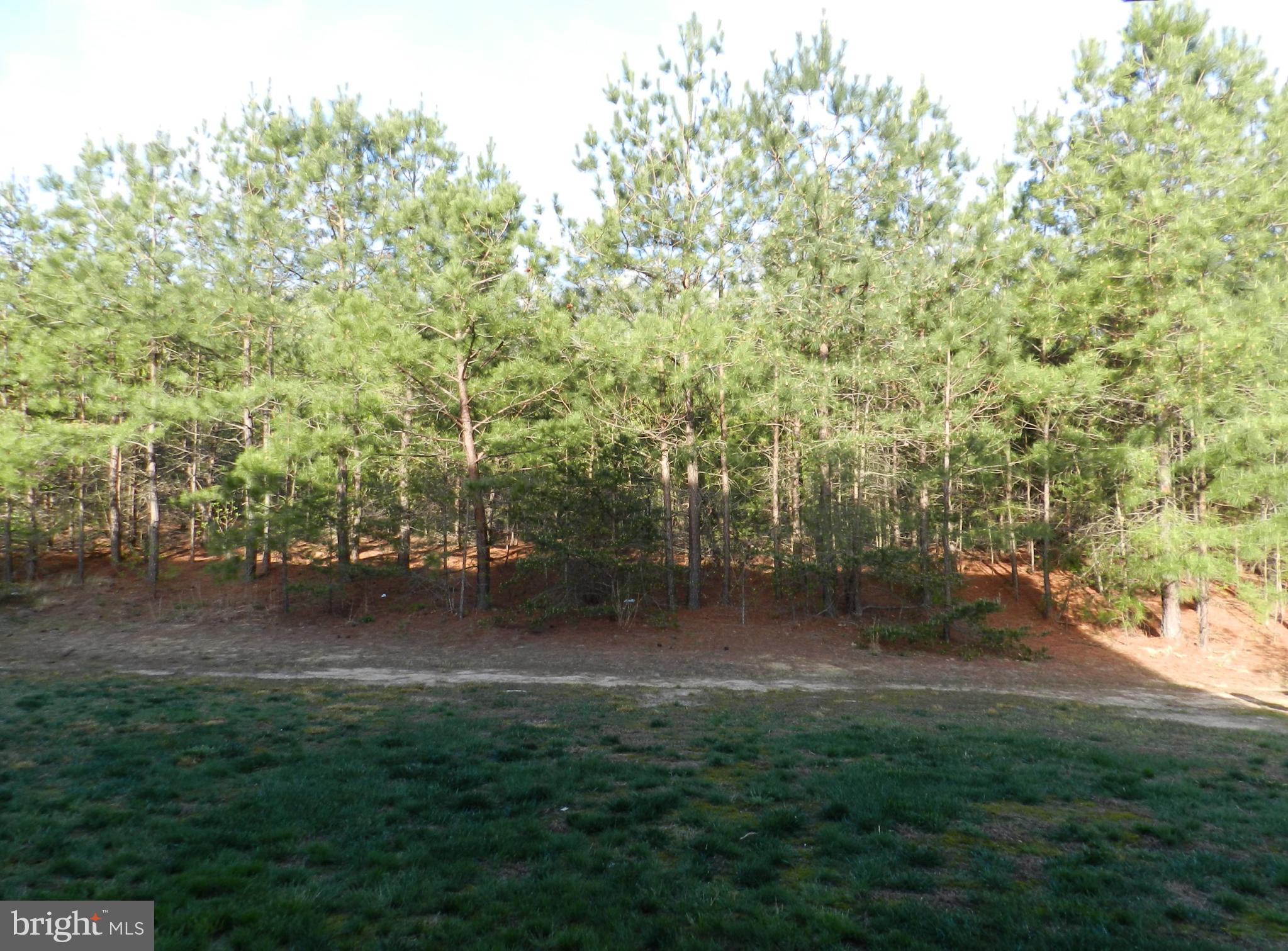 BELMONT WEST - Residential