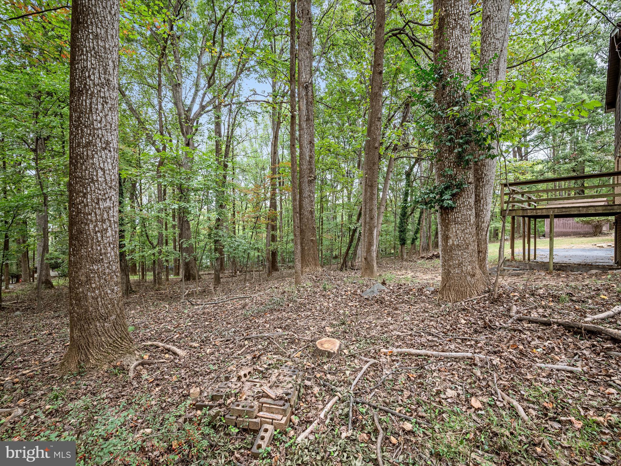 SHANNONDALE - Residential