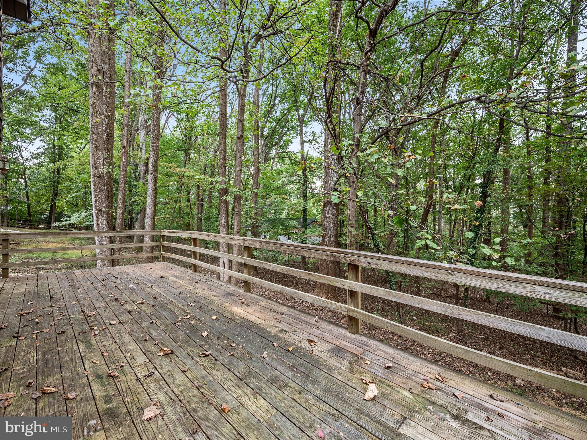 SHANNONDALE - Residential