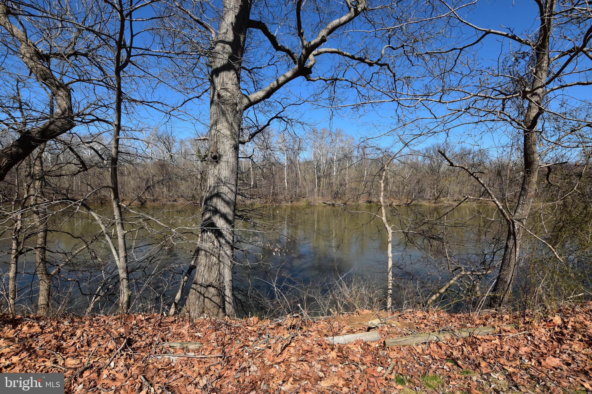 19141 YOUNGS CLIFF ROAD