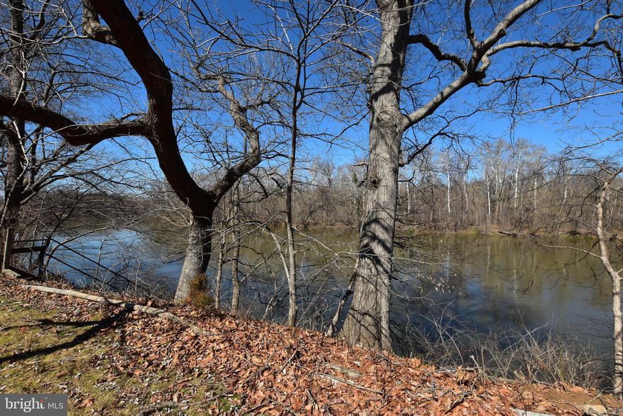 MILLION DOLLAR VIEW OF THE POTOMAC RIVER. There are less than 12 homes with a view like this one on Youngs Cliff.  Enjoy this fabulous river for the view, fishing and boating. There is a private boat ramp in the neighborhood and access to Broad Run as well. It feels like living in the country just minutes from Dulles Town Center, Dulles Airport and main roads to travel where ever you wish. Main level living at its best!!!! This custom built all brick home with over 3,600 feet of living space is on a premium, sought after lot on the Potomac River. It boasts 5 bedrooms, three and a half baths with a fully finished walk up basement. Storage galore.  Fish or go boating from your back yard. There are steps to the river!!!! It is located on a quiet culdesac. All the rooms are light and spacious. The floor plan is wonderful for entertaining.  The large kitchen with eat in space and large attached family room. Large foyer with two walk in  closets. The separate dining room is off the kitchen overlooking the river. The living room over looks the deck and river. The primary suite boasts a walk in closet, several additional closets and full bathroom. There are two additional bedrooms are nice size. The basement is very large waiting to fit all of your needs. It has two bedrooms and a full bath.  The oversized two car garage has lots of storage space. There is a pull down for access to the floored attic. The laundry room has access to the outdoors so it would make a perfect mud room already equipped with a utility sink. There is no HOA in this community. A