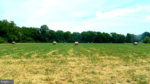 LAUREL GROVE FEDERALSBURG MD 21632