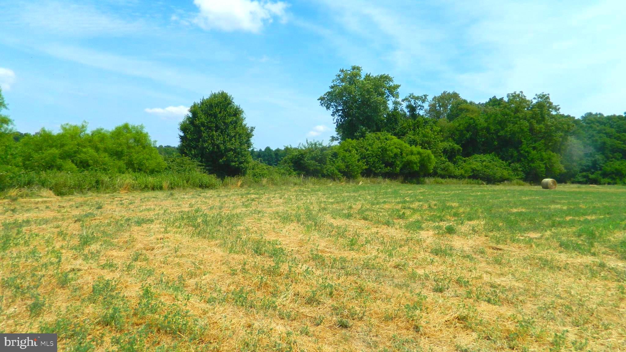 LAUREL GROVE