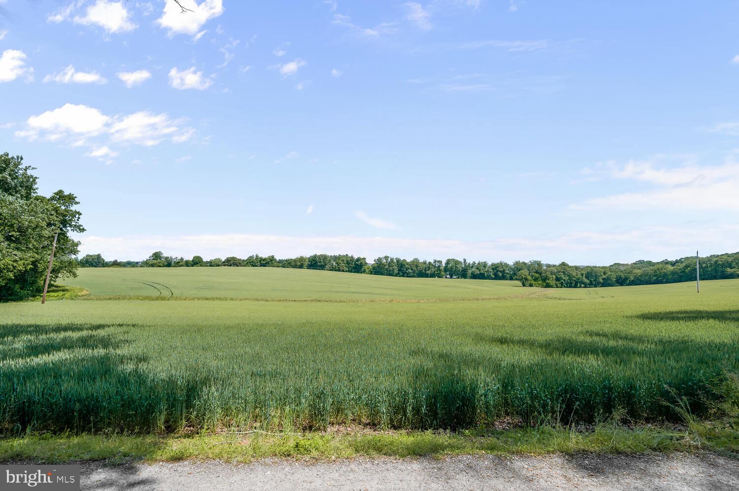 FAIRLANE FARM - Residential