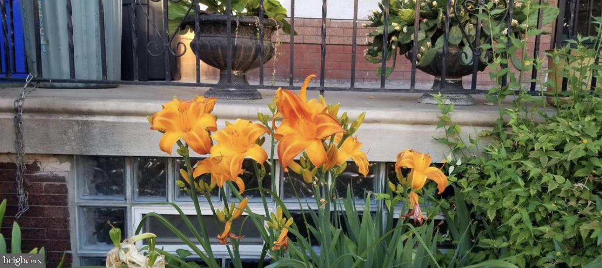 CARROLL PARK - Residential