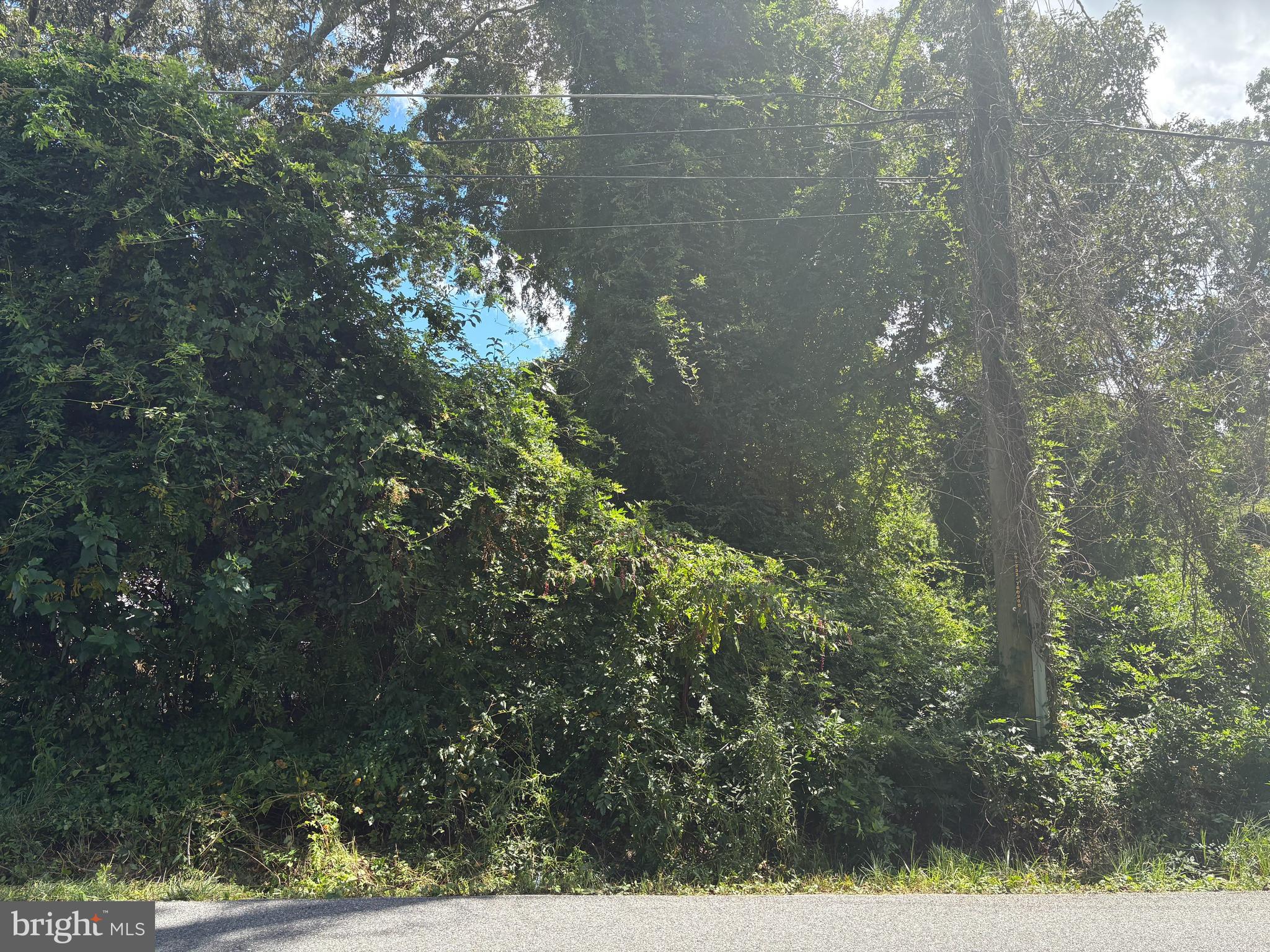 11715 CHELTENHAM ROAD