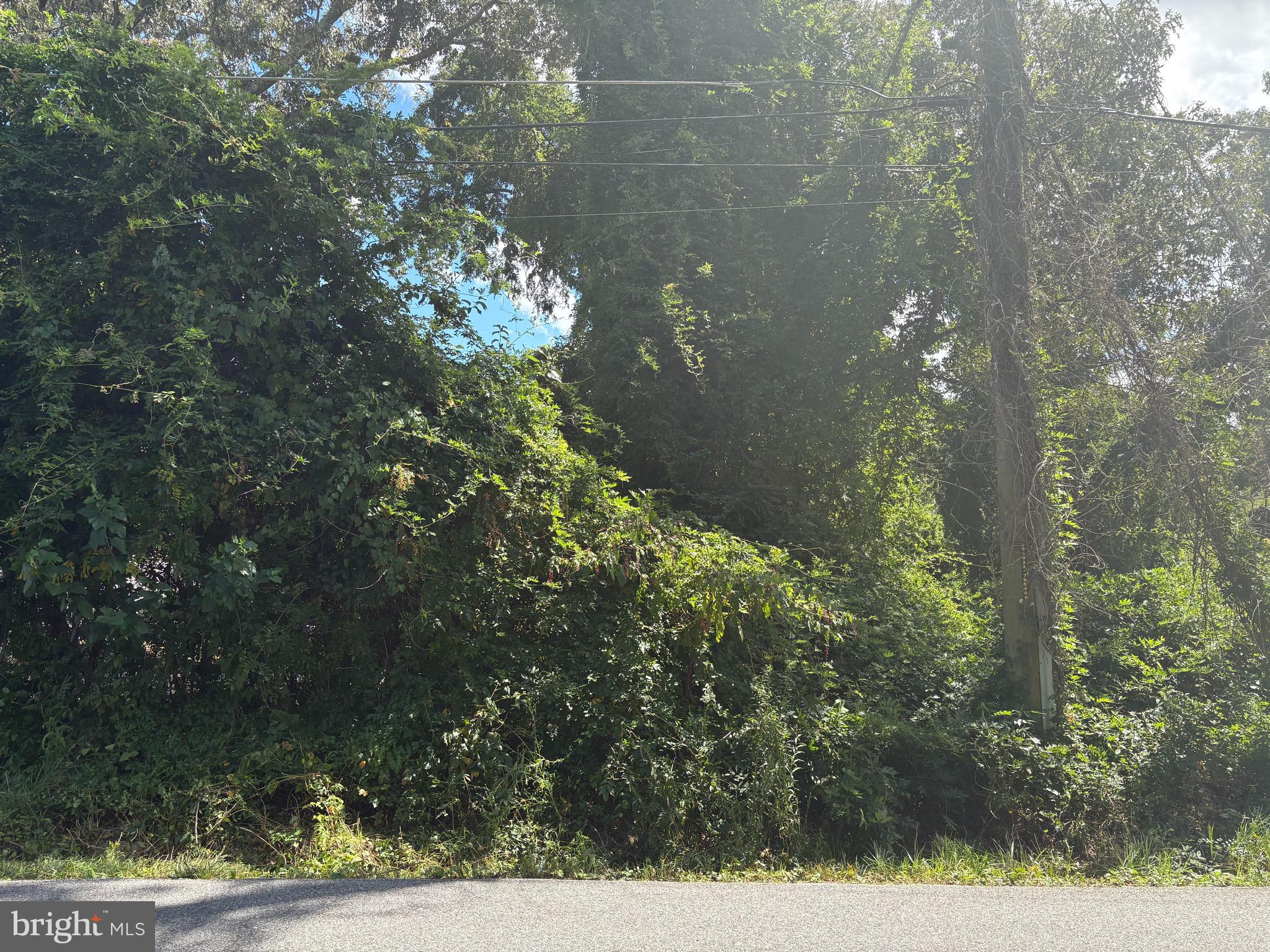 11715 CHELTENHAM ROAD