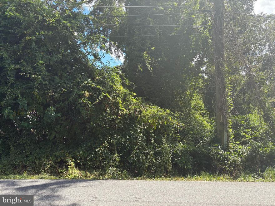 Discover the untapped potential of 11715 Cheltenham Road, located in the heart of Upper Marlboro, MD. This 576-square-foot property sits on an expansive 20,190 square foot lot, offering ample room for future development. With its generous size and lush surroundings, it's a blank canvas ready for your vision. Whether you're considering building a cozy retreat or exploring other creative possibilities, this property provides the perfect backdrop. Enjoy the tranquility of a wooded setting while being conveniently close to local amenities. Don't miss the chance to transform this unique space into something extraordinary!