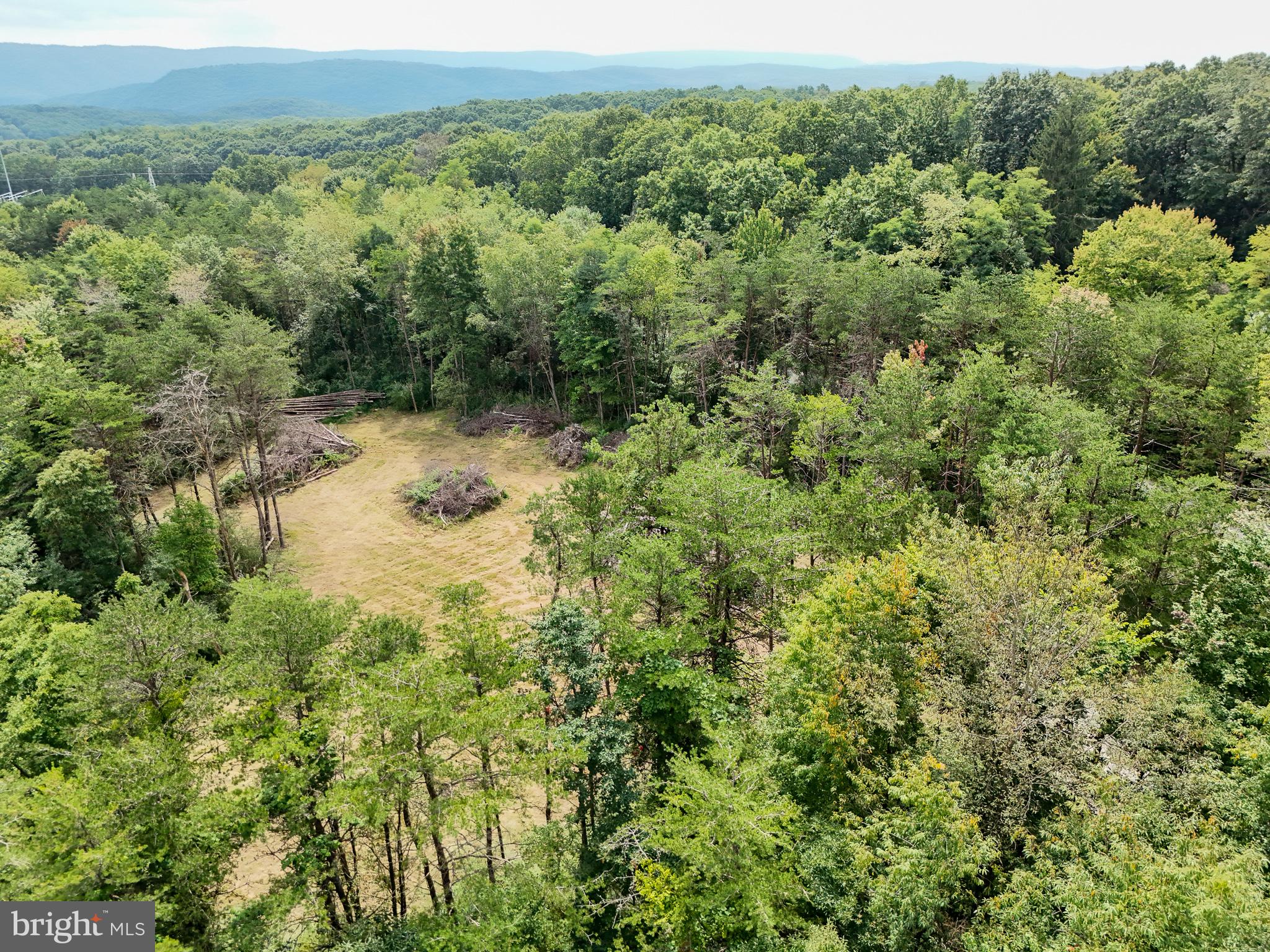 11265 PINEY RIDGE ROAD
