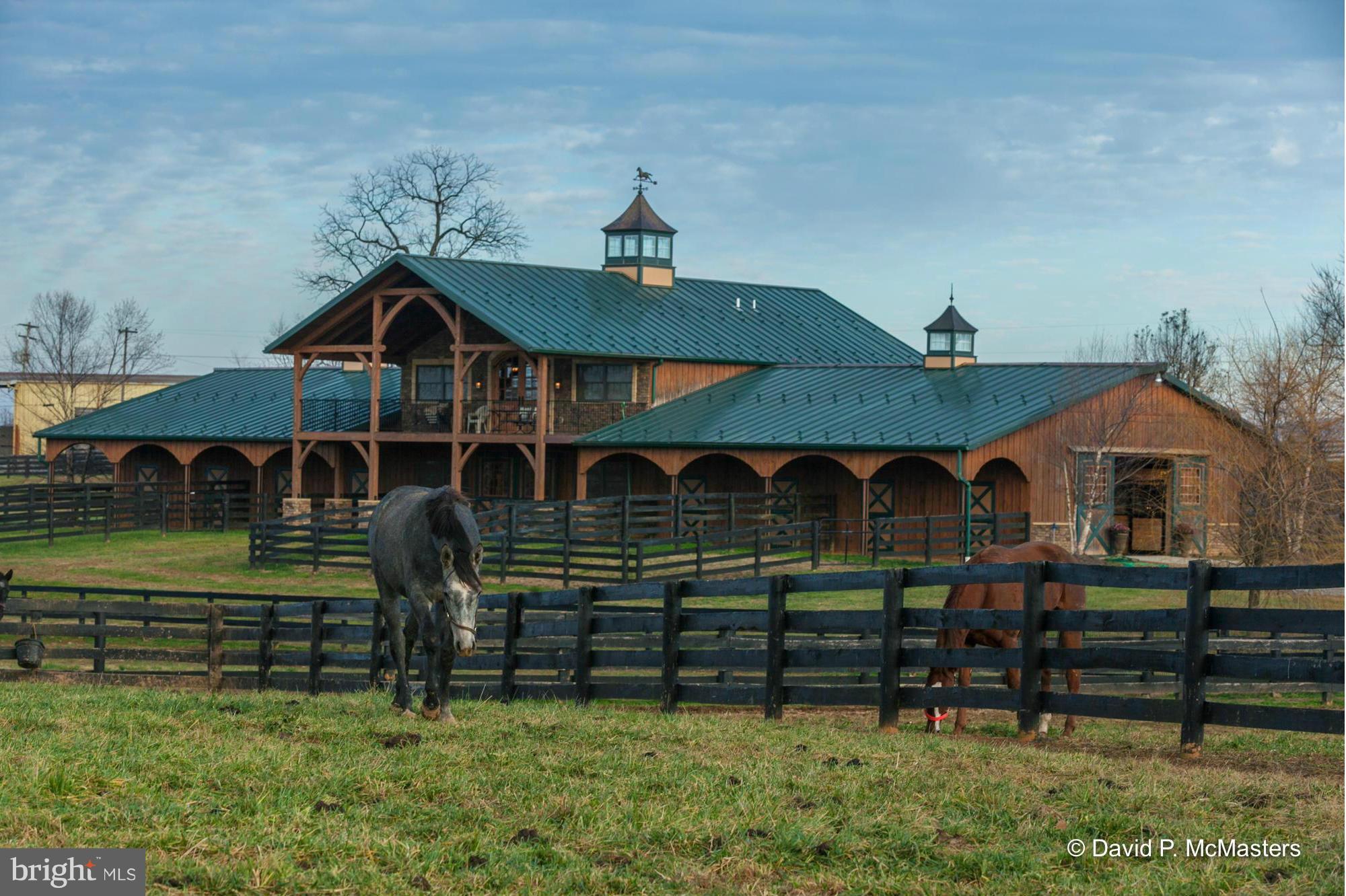 NONE AVAILABLE - Farm